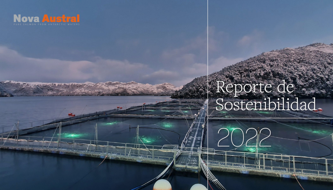 Reporte 2022