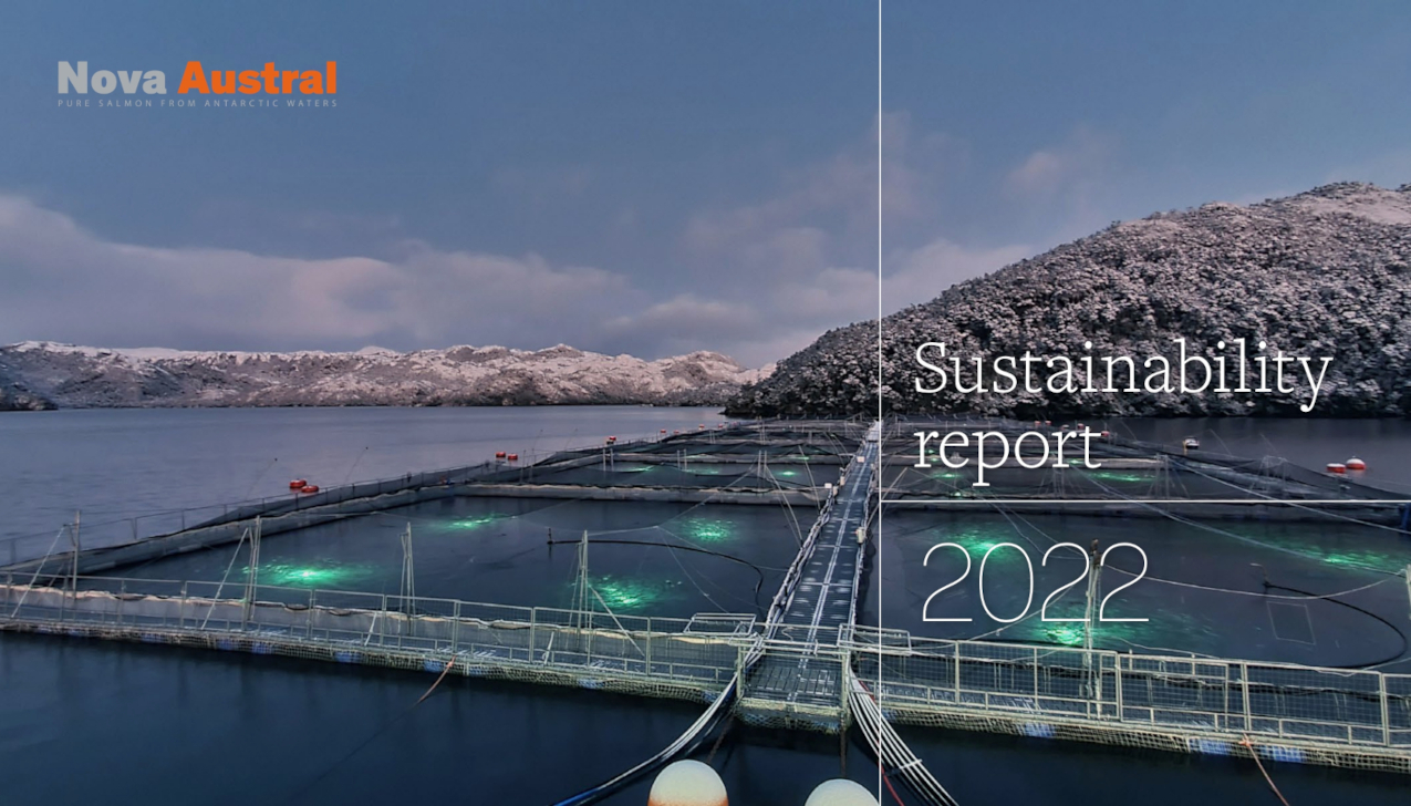 Report 2022